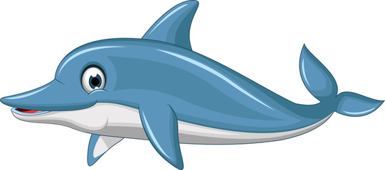 Fototapeta premium cute dolphin cartoon