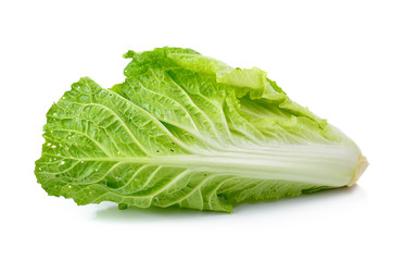 fresh chinese cabbage on a white background