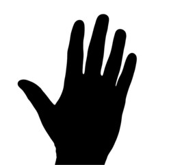 hand on white background