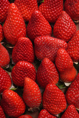 Ripe Red strawberry