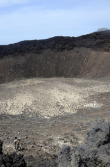 Monte Verde (Sao Vicente)