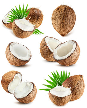 collection of coconuts isolated on the white background