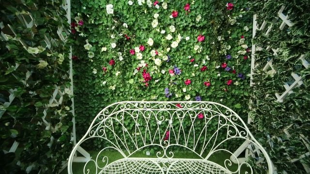 Beautiful white bench next to green hedge with colored flowers