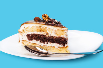 piece of cake with a chocolate layer