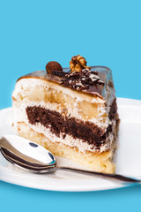 cake with a chocolate layer