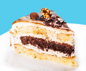 cake with a chocolate interlayer