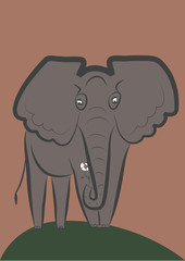 One elephant with flower