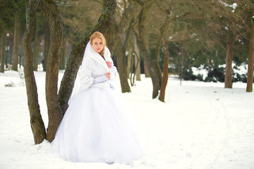 Fototapeta na wymiar Portrait of a beautiful bride in winter in park