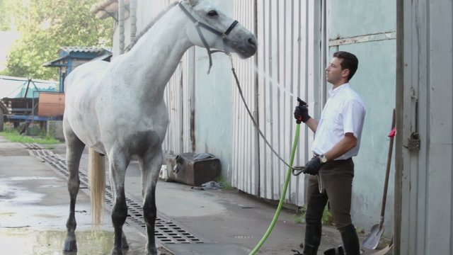 Man holds hose with water stream from it and his horse stands near