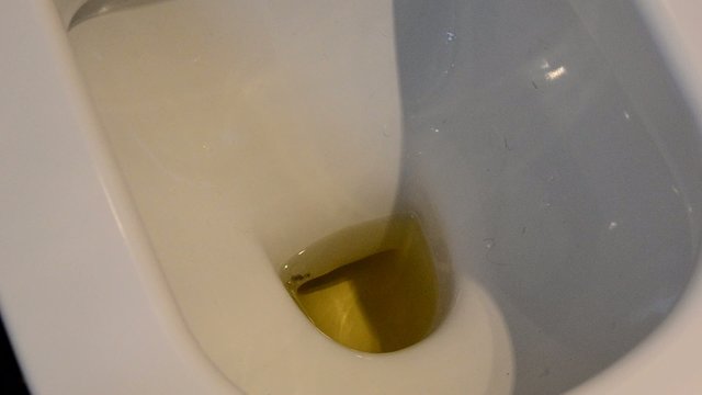 509