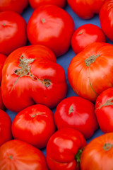 Tomatoes selling in a market