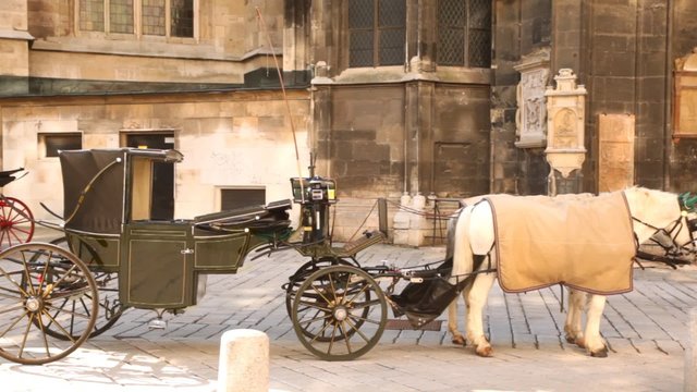 Old house has an empty carriage with pair of horses