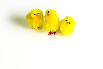 Easter chickens © ab_photo