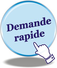 bouton demande rapide