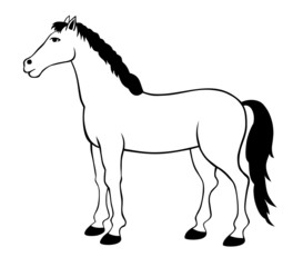 Horse