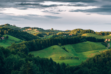 Hills of the Southern Styria Wine Trail