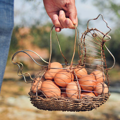 brown eggs in a hen-shaped basket © nito