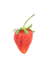 Strawberry on white background