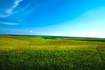 Green grass under blue sky