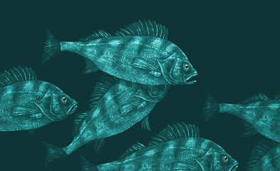 Рыба под водой. Авторский рисунок. Иллюстрация. - 80159787