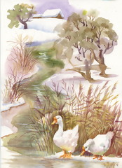 Watercolor winter landscape with river with ducks