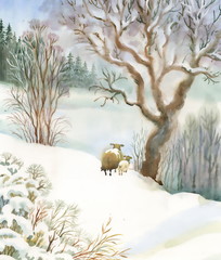Fototapeta premium Watercolor winter landscape with sheeps
