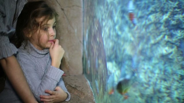 Mother and daughter look at habitants of sea aquarium