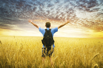 Man in yellow wheat meadow.