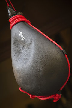 bota de vino