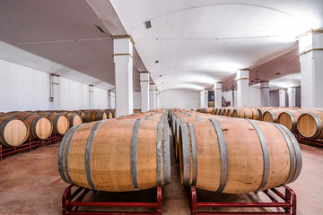 American oak barrels with red wine. Traditional wine cellar