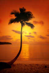 Sunset over the beautiful tropical beach
