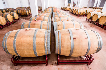 American oak barrels with red wine. Traditional wine cellar