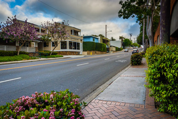 Colorful trees and flowers along Glenneyre Street, in Laguna Bea
