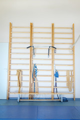 Wall bars in the gymnastic hall