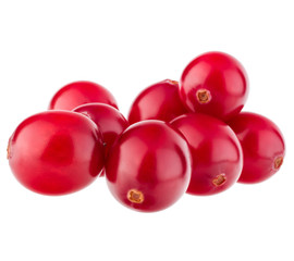 cranberry  isolated on white background cutout