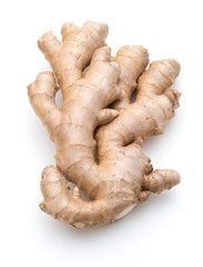 Fresh ginger root or rhizome isolated on white background cutout