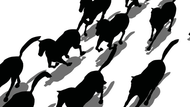 Silhouette of horses running above view, loopable
