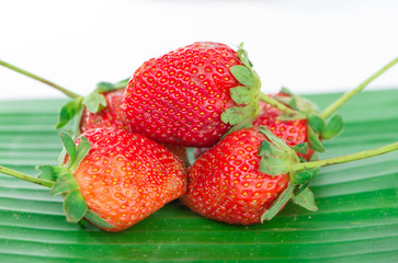 Fresh strawberries on banana leaf