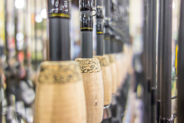 photo of row of fishing rods in store