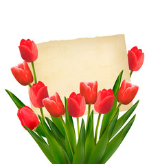 Red tulips with Happy Mother's Day note. Vector.