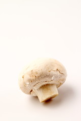 マッシュルーム