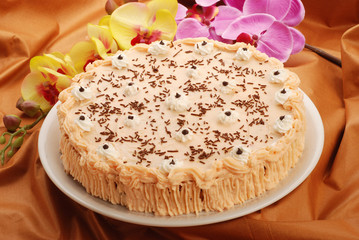 Cake with whipped cream and chocolat