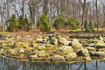 Фрагмент озера в парке