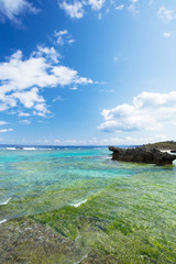 沖縄県今帰仁村の海