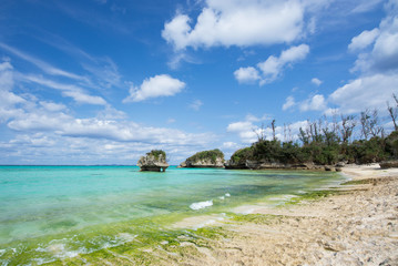 Fototapeta premium 沖縄の海