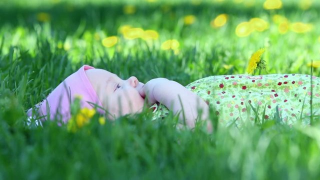 Baby girl lies and suck her finger on grass with dandelions