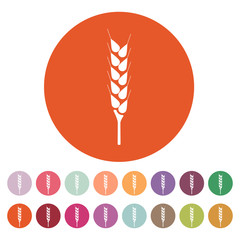 The wheat icon. Spica symbol. Flat