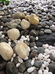 Various size of pebble stones Texture Background