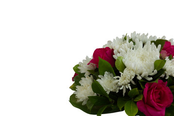 Colorful flowers on white background