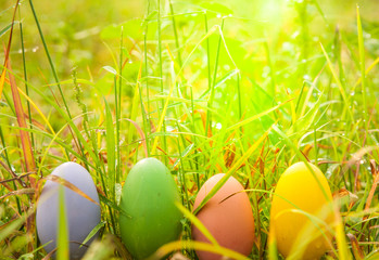 Row of colorful esater eggs in grasses field - 80180116